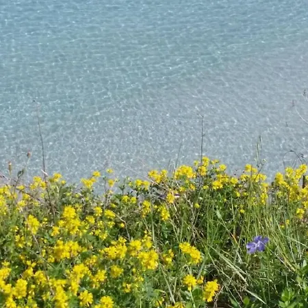 Vakantiehuis Incantevole Villetta Con Giardino Otranto